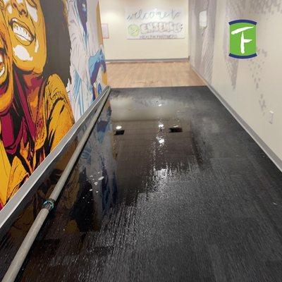 Teasdale Fenton Residential & Commercial Water Damage Services