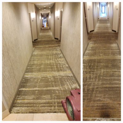 Commercial Carpet Cleaning