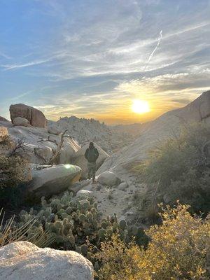 Joshua Tree Adventures