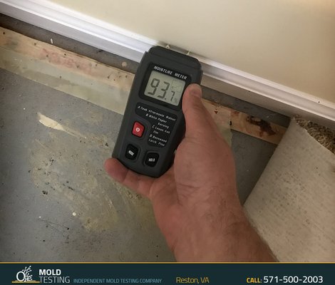 Moisture testing