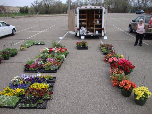 Pretty impressive for May 5th - a huge variety of potted plants from Lone Wolf Nursery!