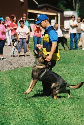 Elad, our in-house Master Trainer and head of the K-9 Division "Advanced Detection". Elad has over 14 yrs experience!