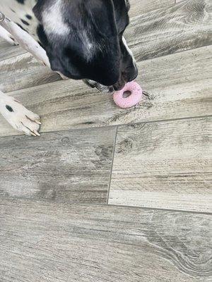 She chose the donut first!