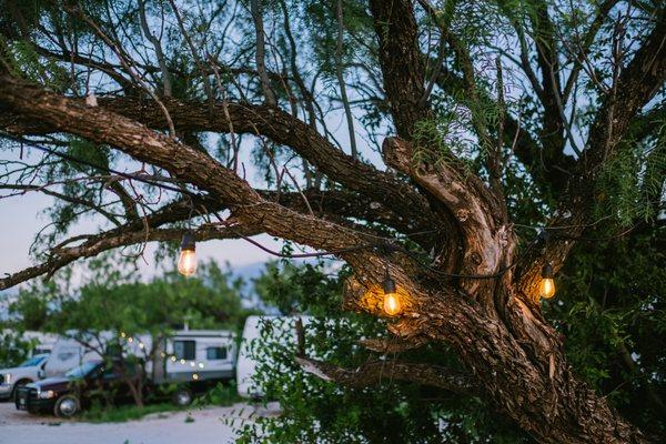 Rope lights dot the RV  Park which light up the surrounding landscape