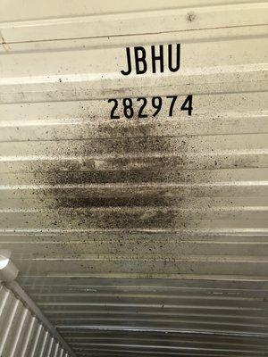 Black Mold at an active loading trailer at Neovia Logistics in Jurupa Valley trailer number 282974