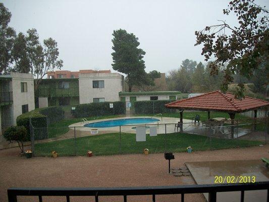 our apartments have been repainted a beautiful darkbrown and tan.