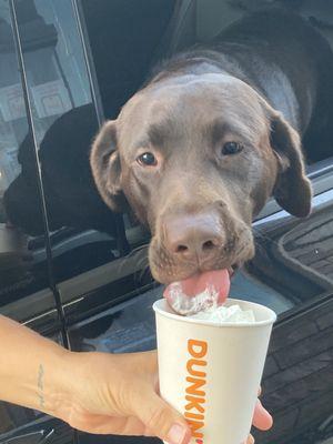 PUP CUPS RULE