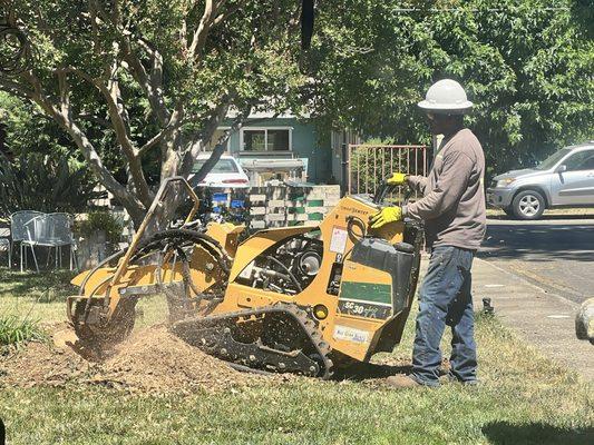 Grinding stump