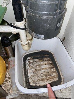 Garbage disposal leak