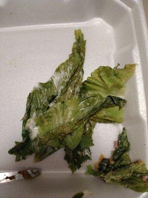 Talk about "not" fresh lettuce...