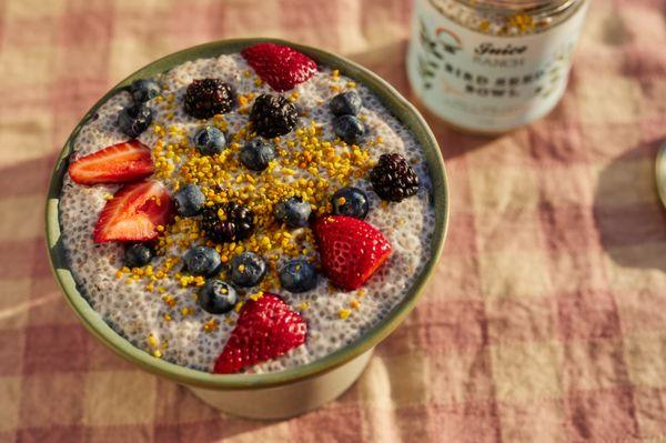 OUR DELICIOUS BIRD SEED BOWL!