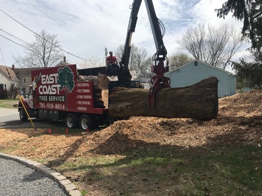 Log Truck Picking up a massive log