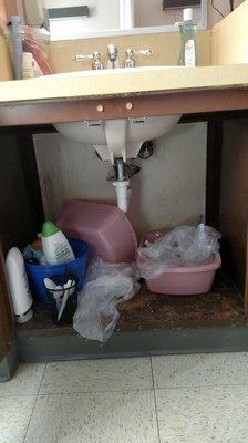 trash just thrown under neath the sink Room 31 White Hall Nursing & Rehab