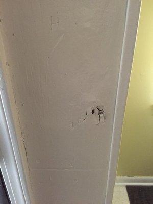 Termite damage