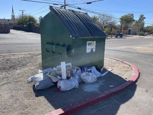 Lazy tenants leaving trash next to the dumpster.