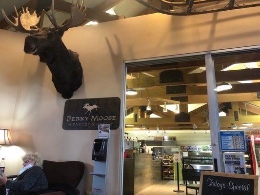 Perky Moose Espresso