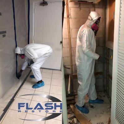 Flash Mold Remediation