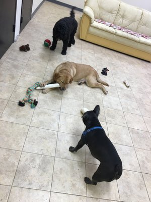 Play time in our small indoor playroom, equipped with couches, a TV, a ball pit, separated cubbies for feeding-time, and lots of toys!