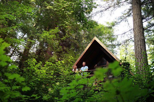 Cabin #2  is also known as the Buddha Cabin, which offers splendid views of the surrounding forest and sparkling river below.