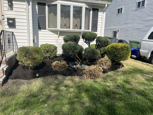 Trimming and mulch