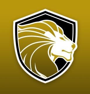 Gold Lion Construction Solutions LLC