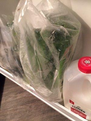 Greens in the fridge...