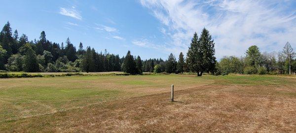 Dried up fairway