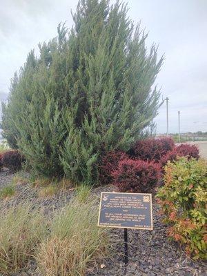 Coast Guarder's plaque