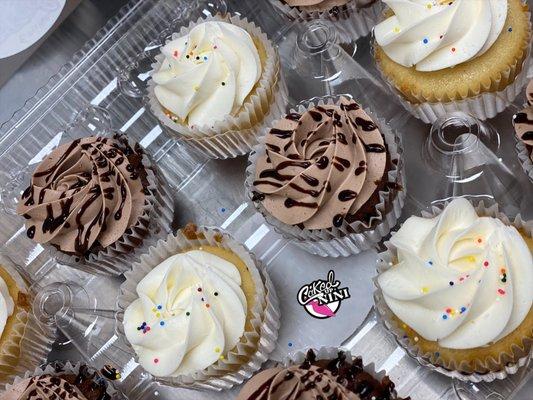 Chocolate Delight and Birthday cake cupcakes!