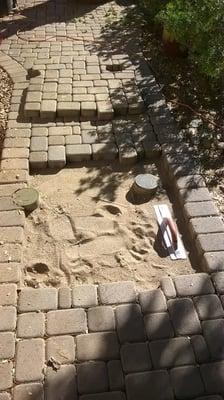 Paver Repair