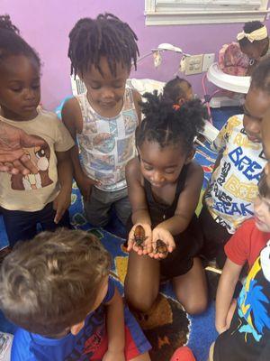 Our preschooler loved our visit from the reptile zoo