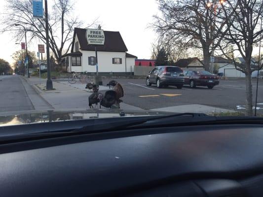 Chillin' on Johnson.