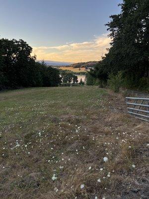 View of the property from the top of the hill