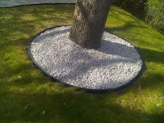 New bed we created around tree with weed blocker laid down and edge around it