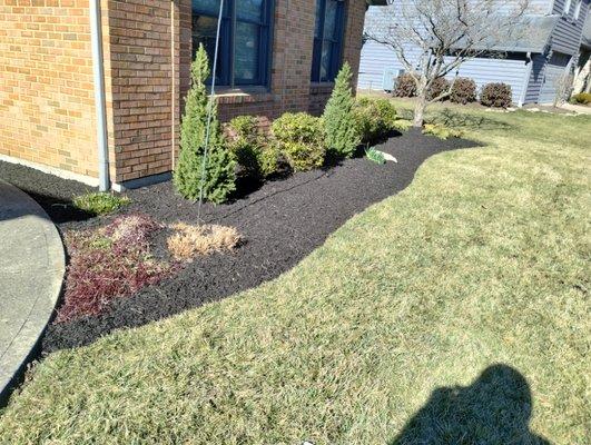 Mulch trimming and edging