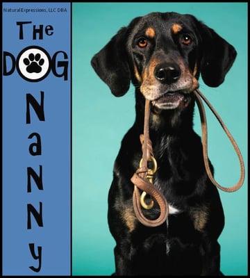 The DOG Nanny  In-home pet sitting & dog walking