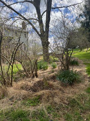 Cleaning for mulch