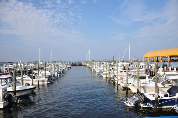 Marina on The Bay - 150 slips for boats to 50 feet (summer and winter storage) and transient dockage up to 110 ft, travel lift