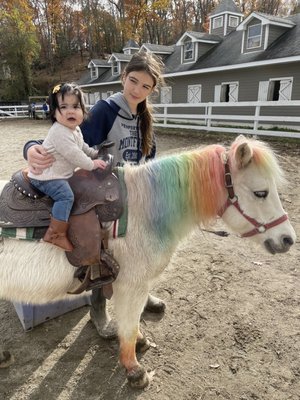 Pony rides