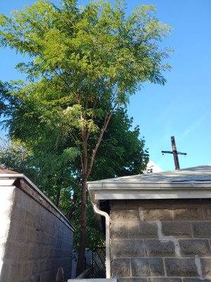 After-tree pruning