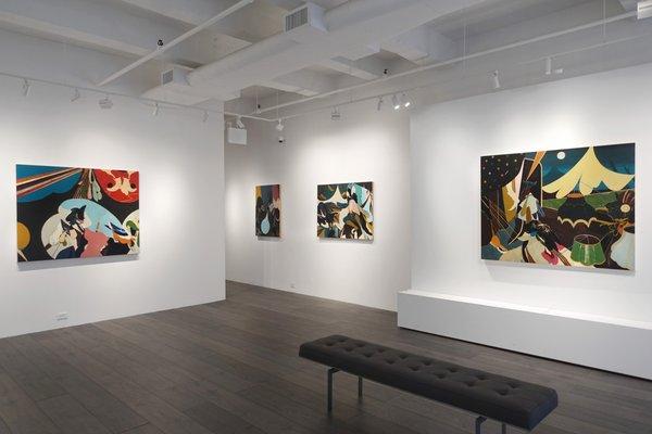 Installation view: Kenichi Hoshine: The Magician and The Thief