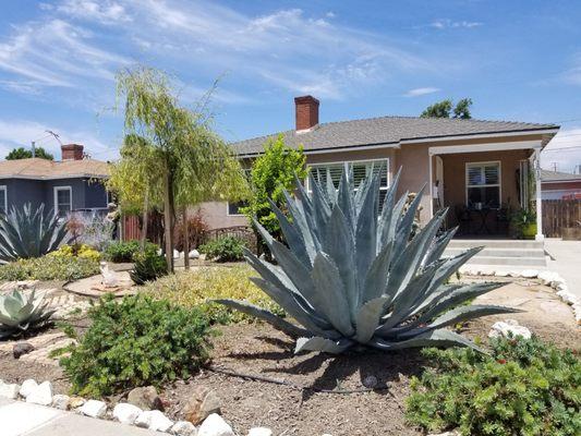 Efren Ruiz Gardening