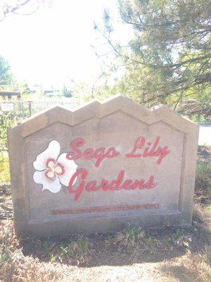 Sego Lily Gardens