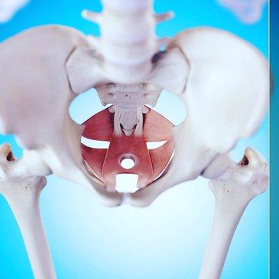 Pelvic floor Physical therapy