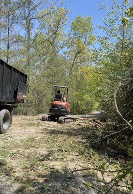 Beto Tree Service