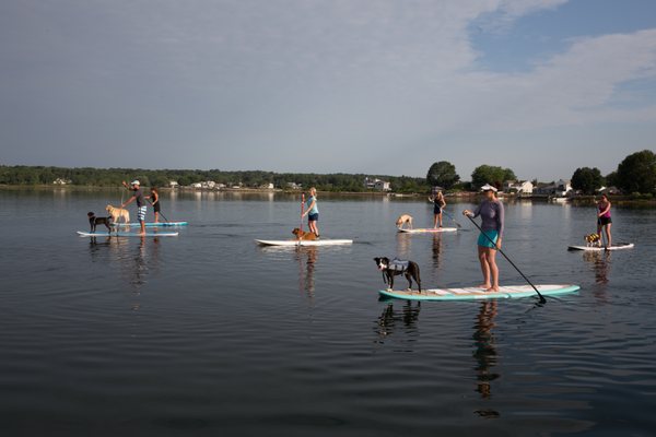 Paddle WITH Your Pup class Don's Dock Stonington, CT