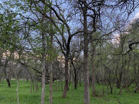 Forrest Creek Ranch and Lodge