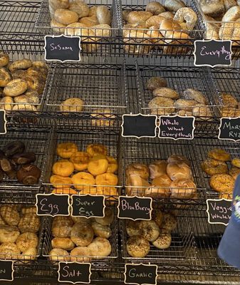 Lots of bagels!