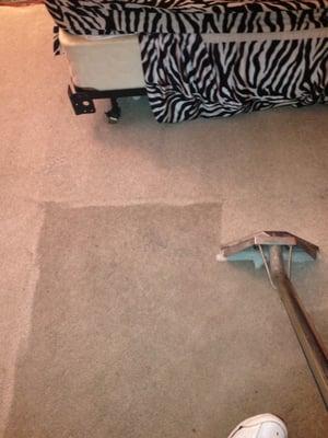 Carpet Cleaning