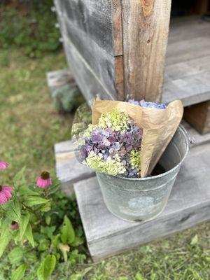 Fresh cut flowers